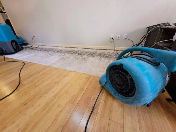 Professional Sewage Cleanup technician working in Piedmont, AL